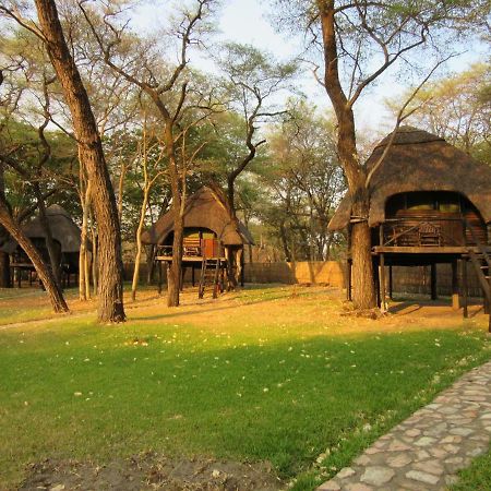 The Tree Lodge At Sikumi Dete Exterior foto