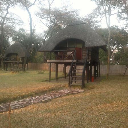 The Tree Lodge At Sikumi Dete Exterior foto