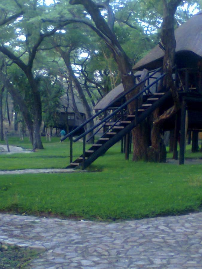 The Tree Lodge At Sikumi Dete Exterior foto