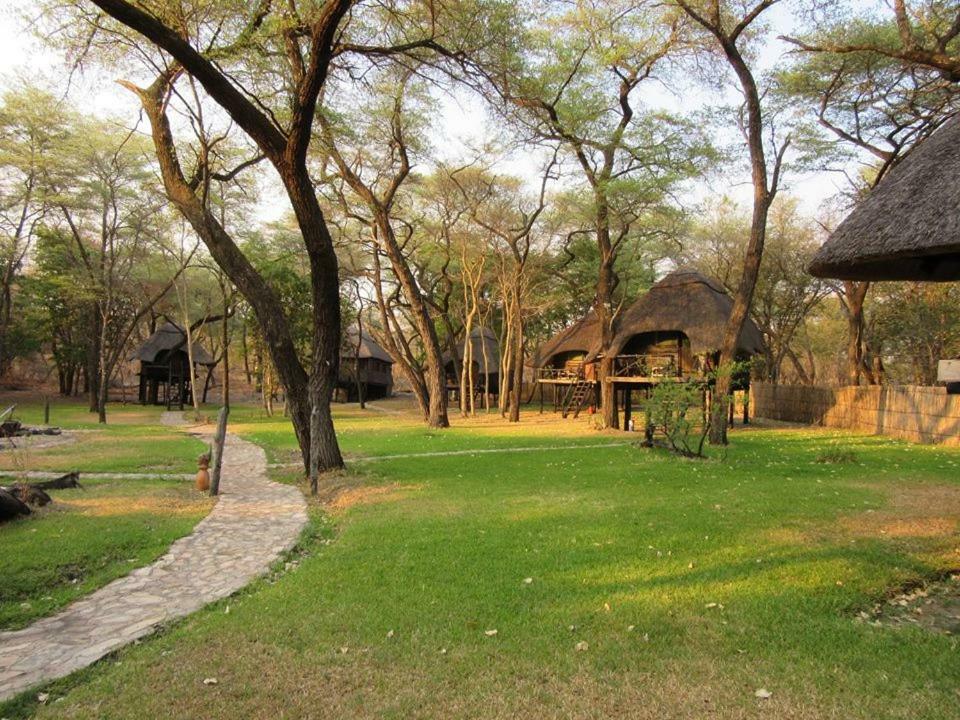 The Tree Lodge At Sikumi Dete Exterior foto
