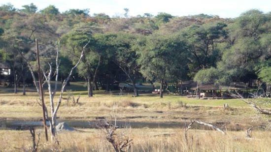 The Tree Lodge At Sikumi Dete Exterior foto