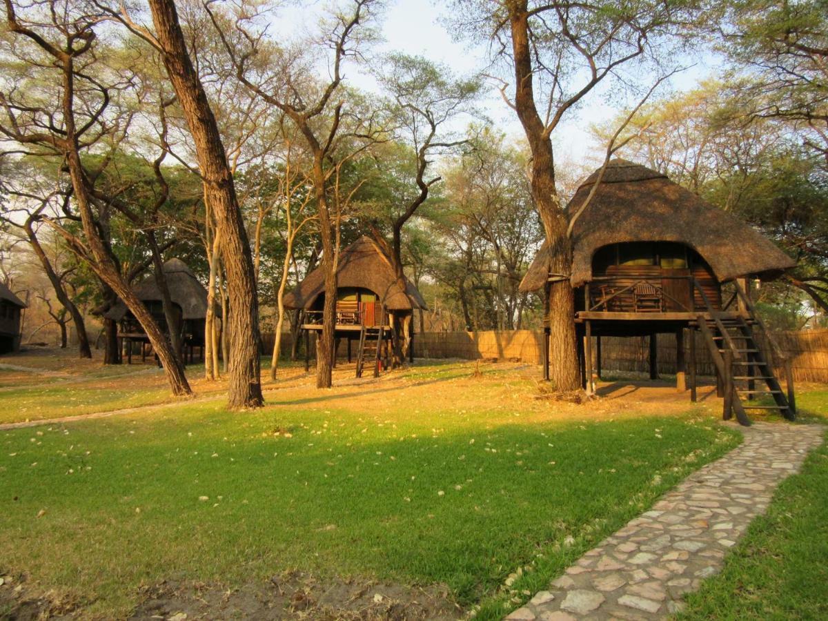 The Tree Lodge At Sikumi Dete Exterior foto