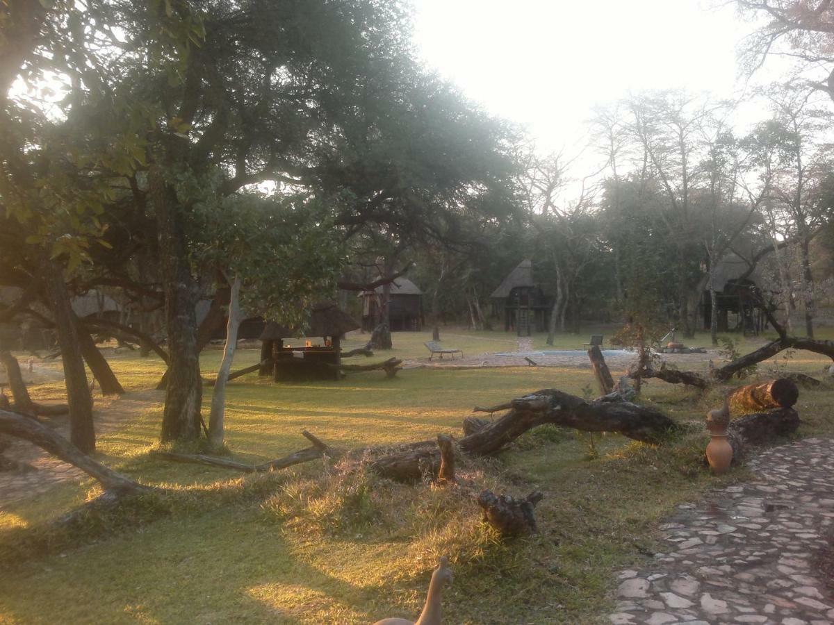The Tree Lodge At Sikumi Dete Exterior foto