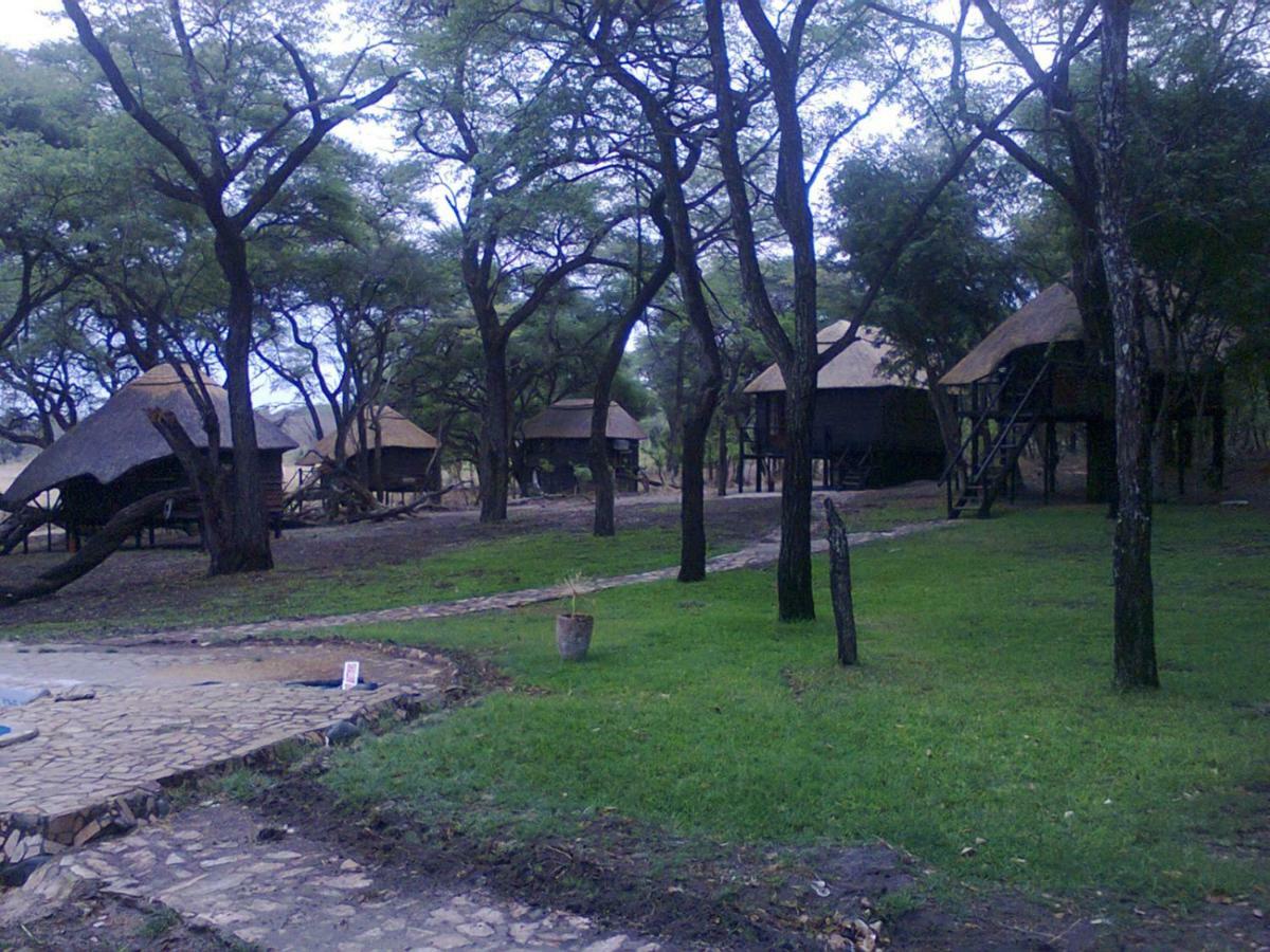The Tree Lodge At Sikumi Dete Exterior foto