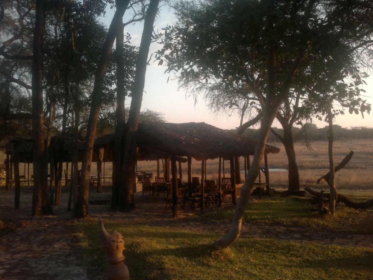 The Tree Lodge At Sikumi Dete Exterior foto