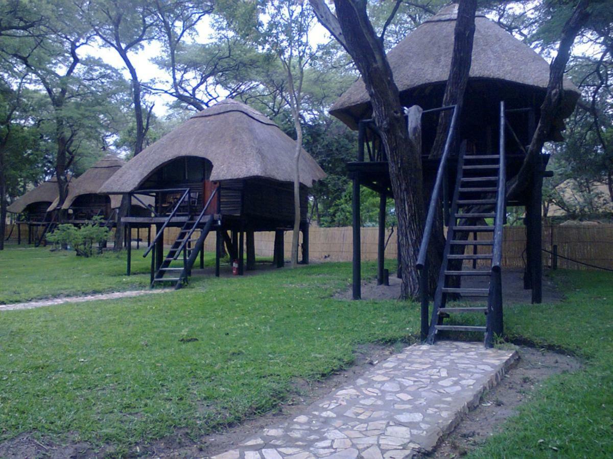 The Tree Lodge At Sikumi Dete Exterior foto